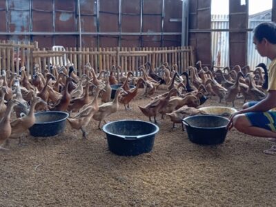 Supri, Pemuda Cirebon yang Menggerakkan Ekonomi Desa.